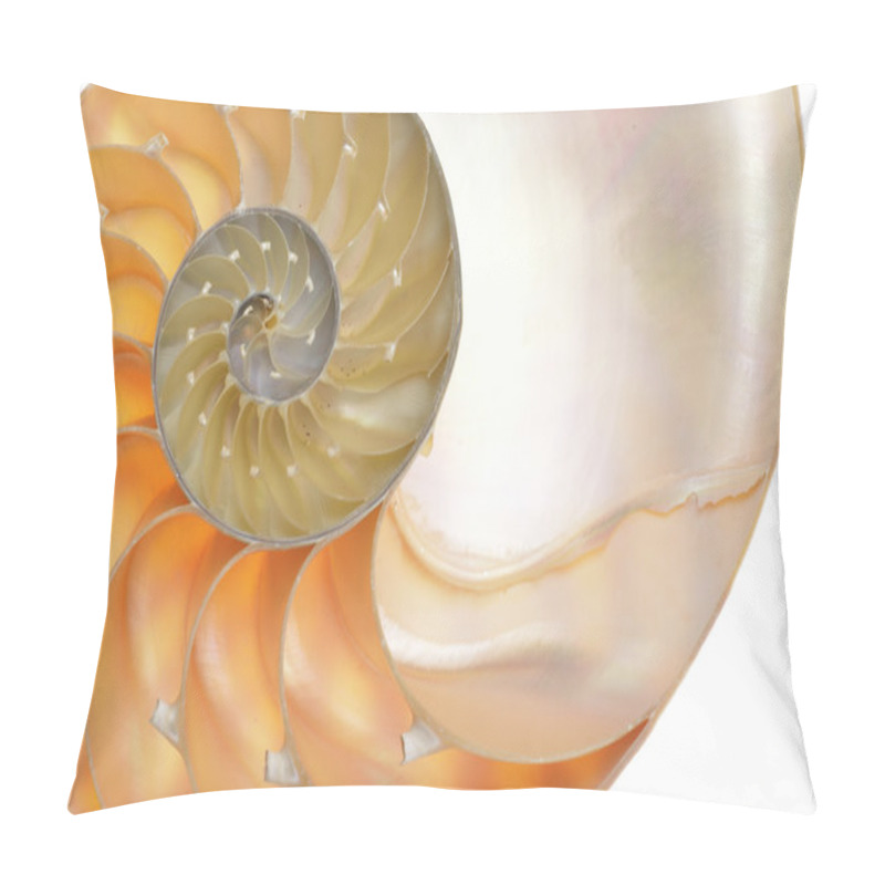 Personality  Nautilus Shell Pillow Covers