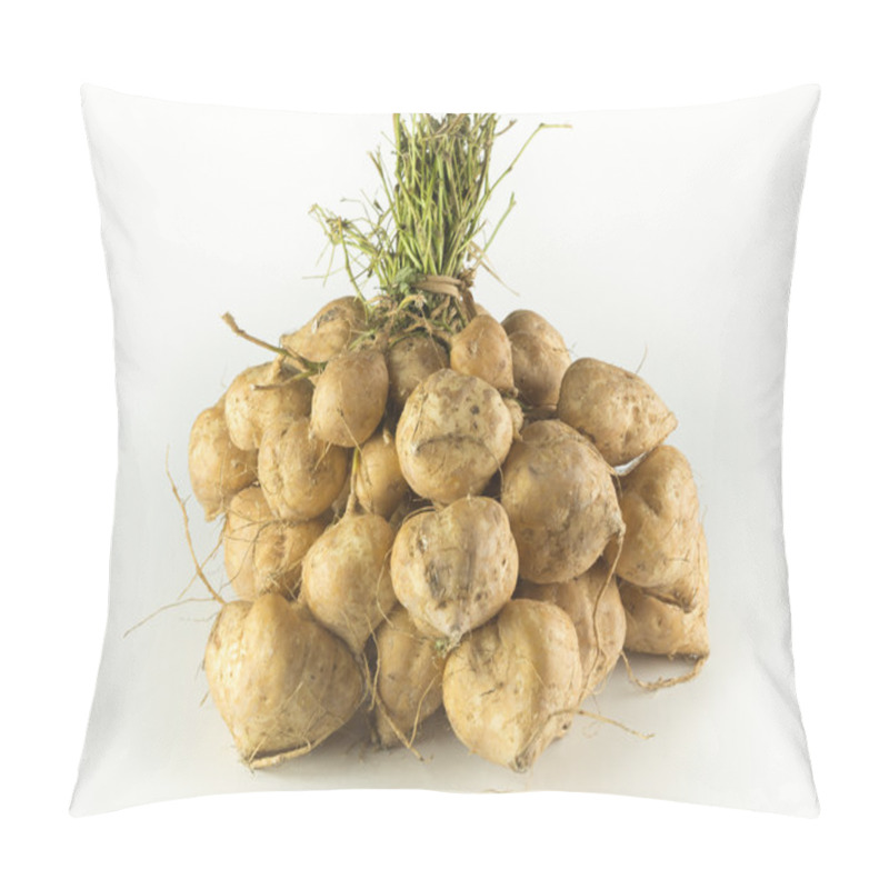 Personality  Cassava, Yam Bean, Pachyrhizus Erosus (L.) Urbar, Isolated On White Background.   Pillow Covers