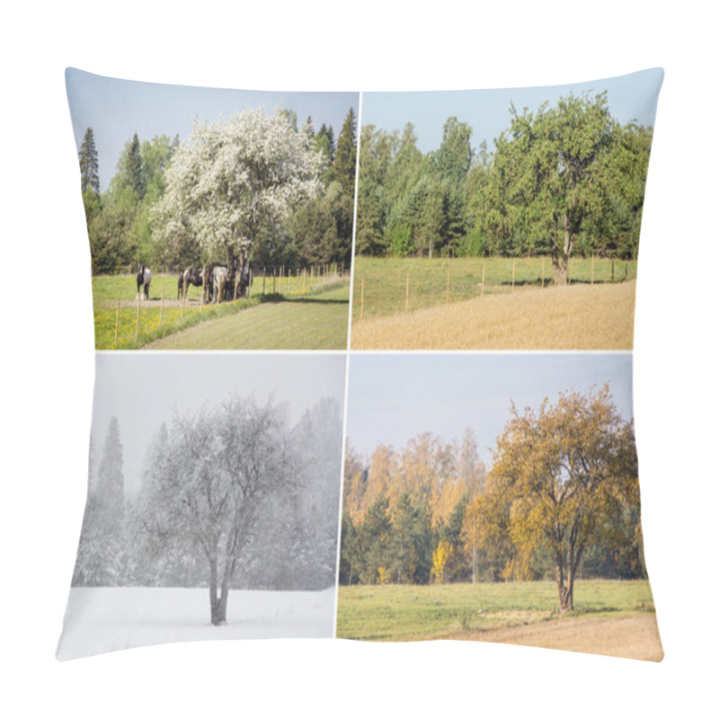 Personality  Beautiful Collage Of 4 Seasons Different Pictures Of An Apple Tree On Field, Same Spot, Place. White Spring Blossoms, Green Fresh Bright Summer Day, Yellow Autumn Leaves, Snowstorm In Winter.  Pillow Covers