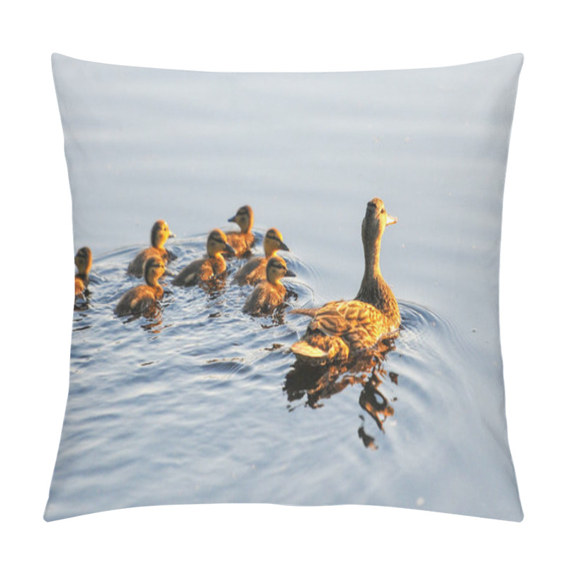 Personality  Ducks On The Lake 2022 In Summer Pillow Covers