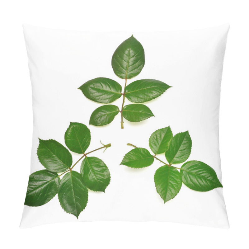 Personality  Branch Of A Rose With Leaf Isolated On White Background. Flat Lay, Top View Pillow Covers