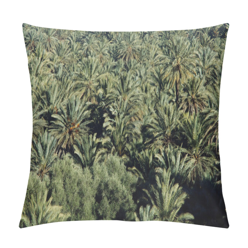 Personality  Palmtree Pillow Covers