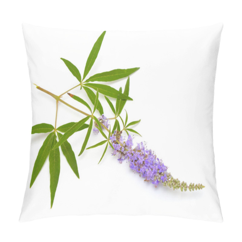 Personality  Vitex Agnus-castus, Chaste Tree Or Chastetree, Chasteberry, Abraham's Balm, Lilac Chastetree Or Monk's Pepper. Pillow Covers