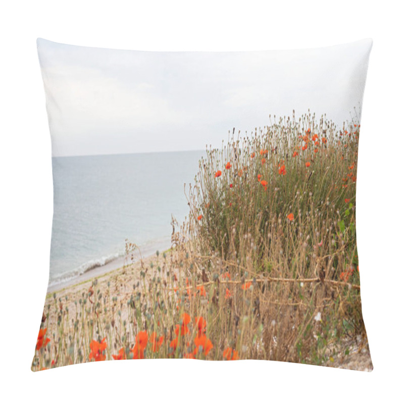 Personality  Blooming Poppy Flowers Pillow Covers