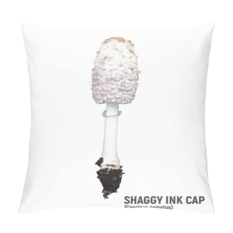 Personality  Shaggy Ink Cap Or Lawyers Wig Isolated On White. Wild Mushrooms Coprinus Comatus Pillow Covers