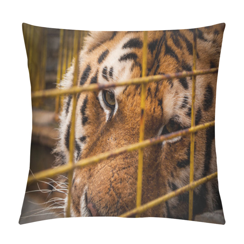 Personality  Portrait Of A Tiger Pillow Covers