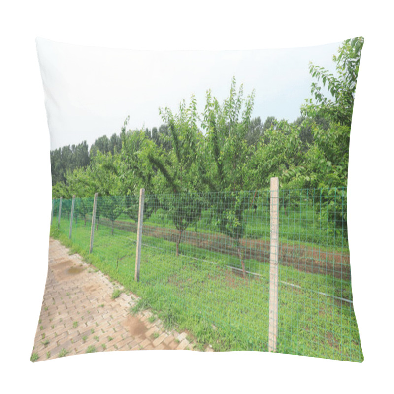 Personality  Orchard Fence Landscape In A Plantation, North China Pillow Covers