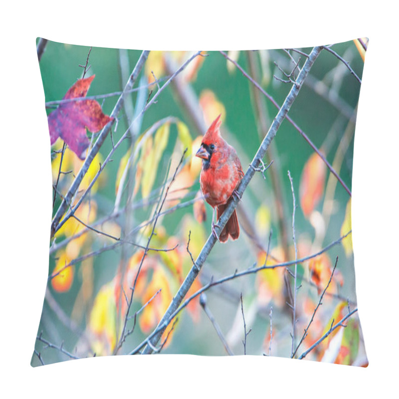 Personality  Northern Cardinal Cardinalis Cardinalis Perched On A Branch Pillow Covers