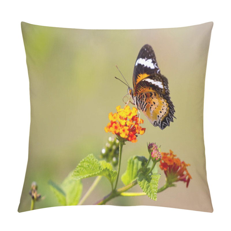 Personality  Image Of Butterfly On Flower On Nature Background. (Common Tiger Pillow Covers