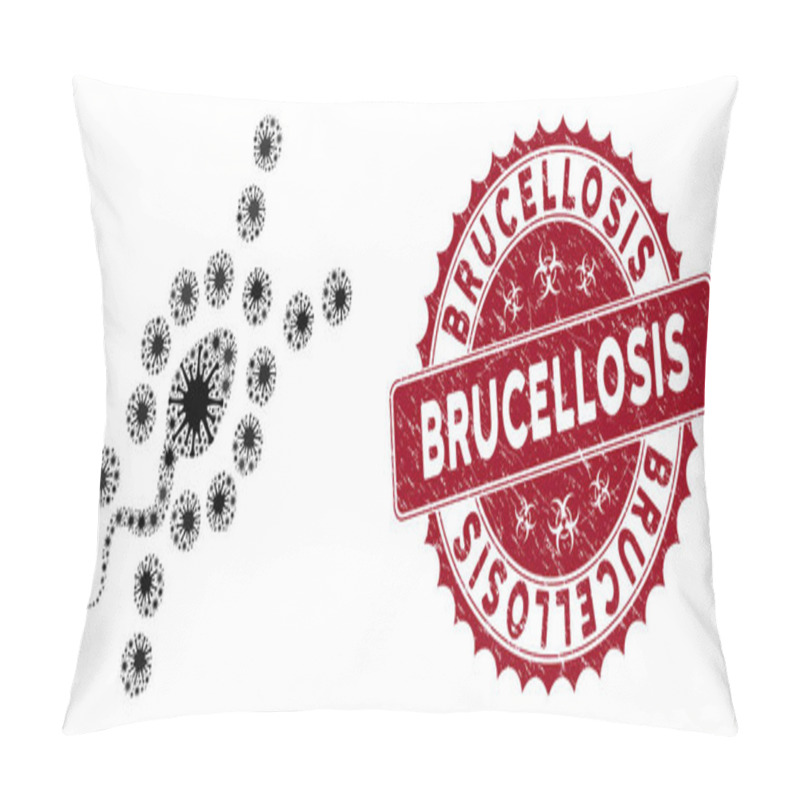 Personality  Coronavirus Collage DNA Replication Icon With Scratched Brucellosis Stamp Pillow Covers