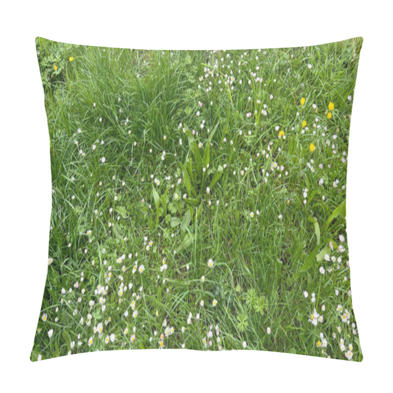 Personality  Lush Green Meadow Filled Vibrant Green Grass And Diverse Wildflowers Daisies Buttercups Pillow Covers