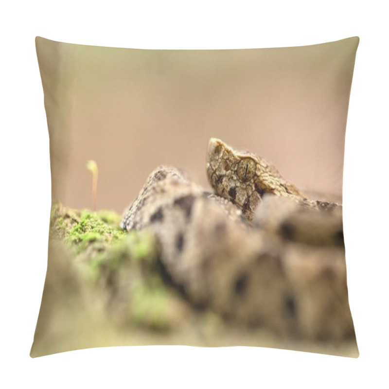 Personality  Common Lancehead, Bothrops Atrox, In Its Natural Environment, Tropical Forest, Snake Close-up From Trinidad And Tobago, Dangerous Animal, Exotic Adventure In Caribbean Nature, Endangered Species Pillow Covers