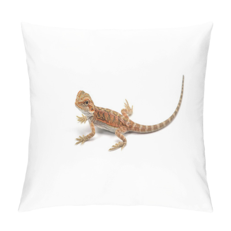 Personality  Lizard Bearded Dragon Isolated On White Background Pillow Covers