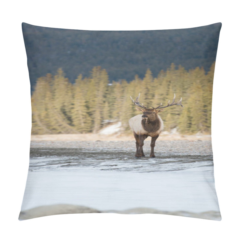 Personality  Elk In Wild, Animal. Nature, Fauna Pillow Covers