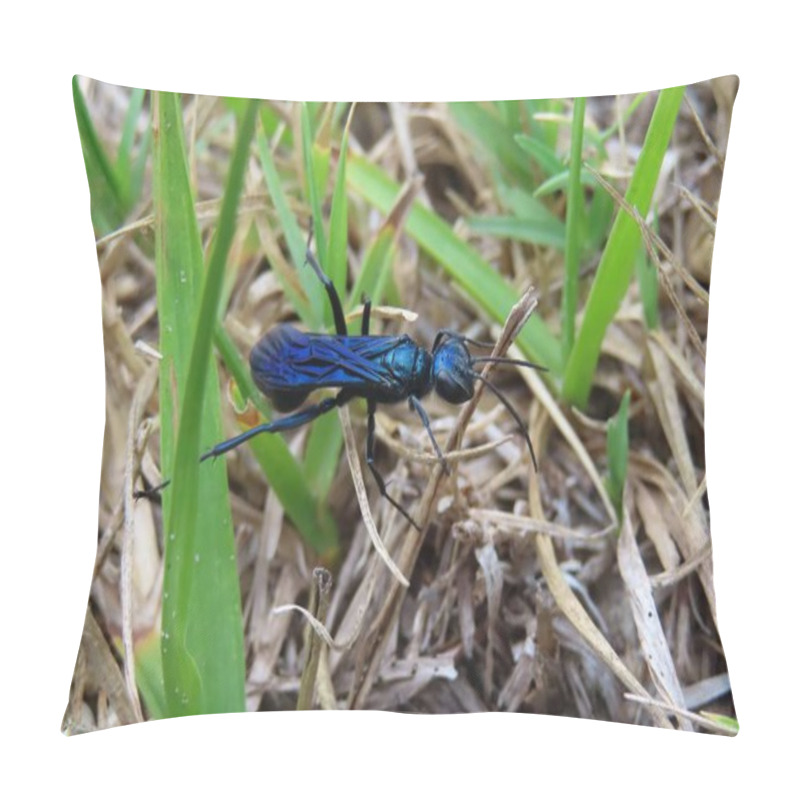 Personality  Tropical Blue Mud Dauber Wasp (chalybion Californicum) On Green Plant In Florida Wild Pillow Covers