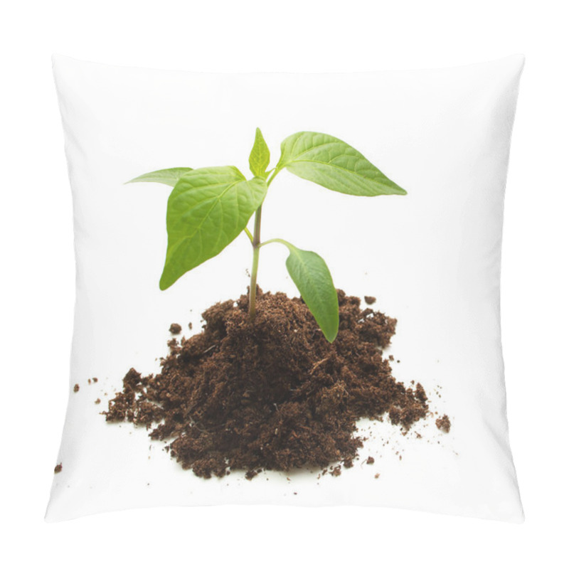 Personality  Pepper Seedling On White Background Pillow Covers