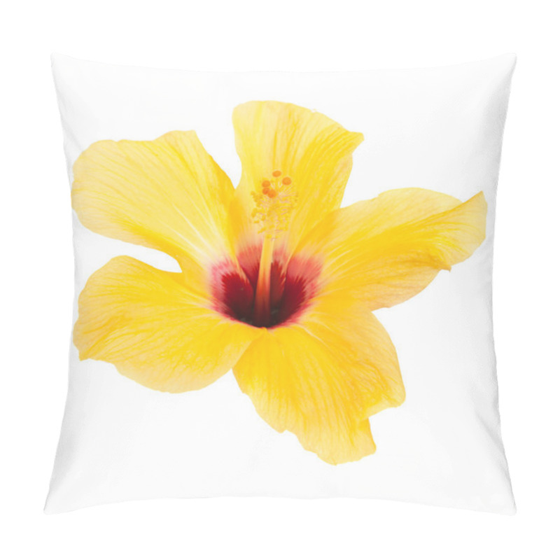 Personality  Beautiful Yellow Hibiscus Isolated On White Background Pillow Covers