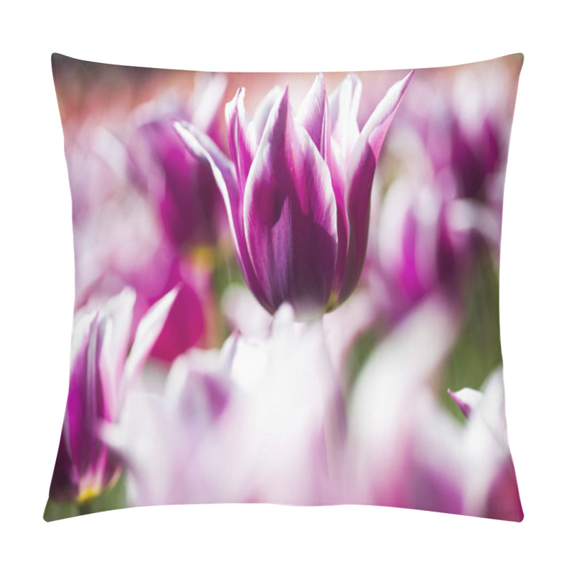 Personality  Fresh Spring Tulips Pillow Covers