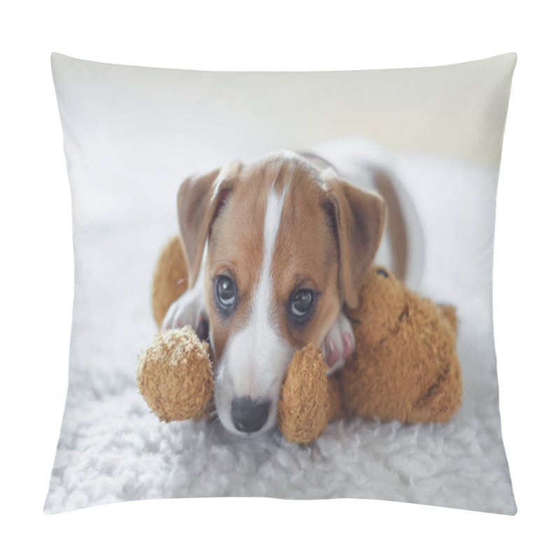 Personality  Jack Russel Terrier Puppy Sleeping On White Bed Pillow Covers