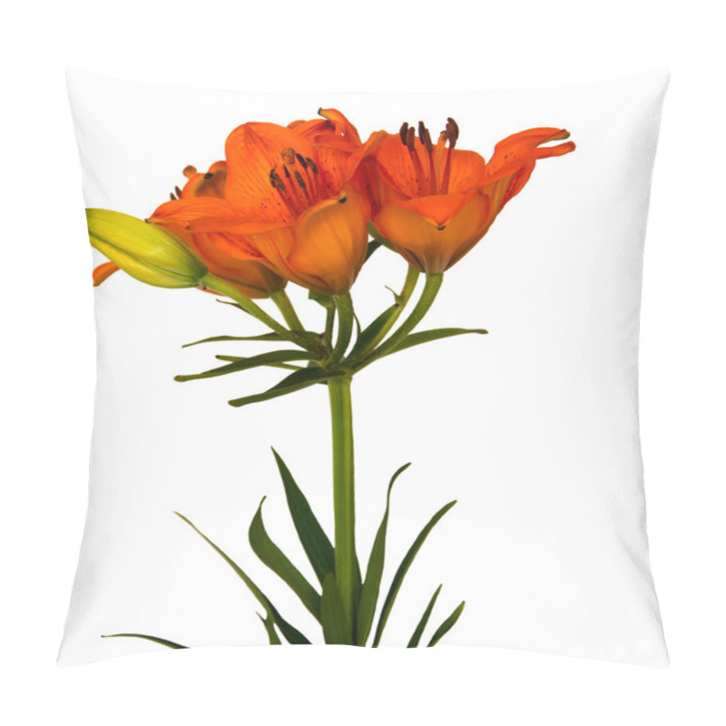 Personality  Orange Lily Flowers, Lilium, Pillow Covers