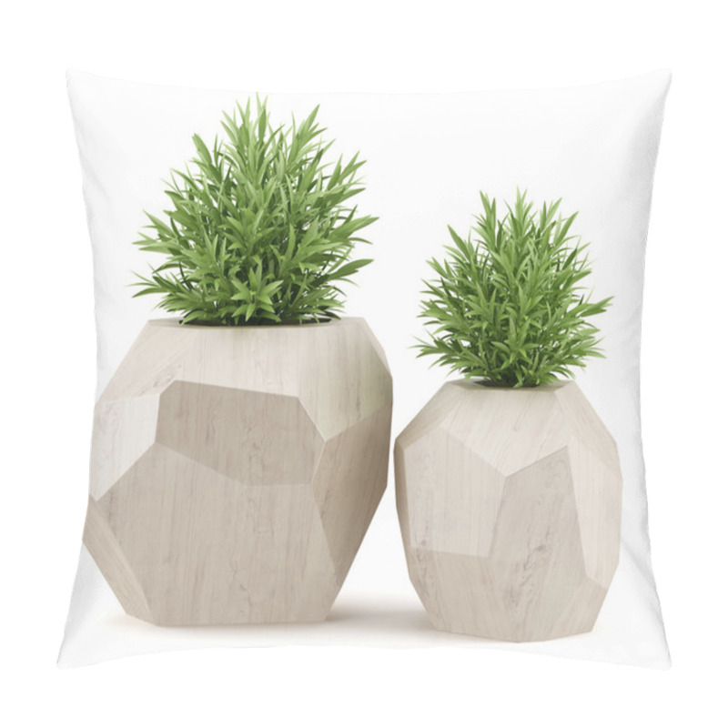 Personality  Two Houseplants In Wooden Pots Isolated On White Background Pillow Covers