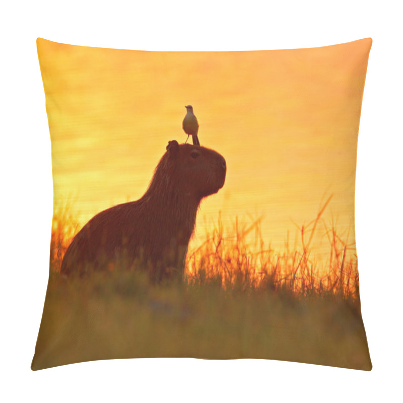 Personality  Capybara Near Lake Water With Bird, Biggest Mouse Around World, Capybara, Hydrochoerus Hydrochaeris, Pantanal, Brazil. Pillow Covers