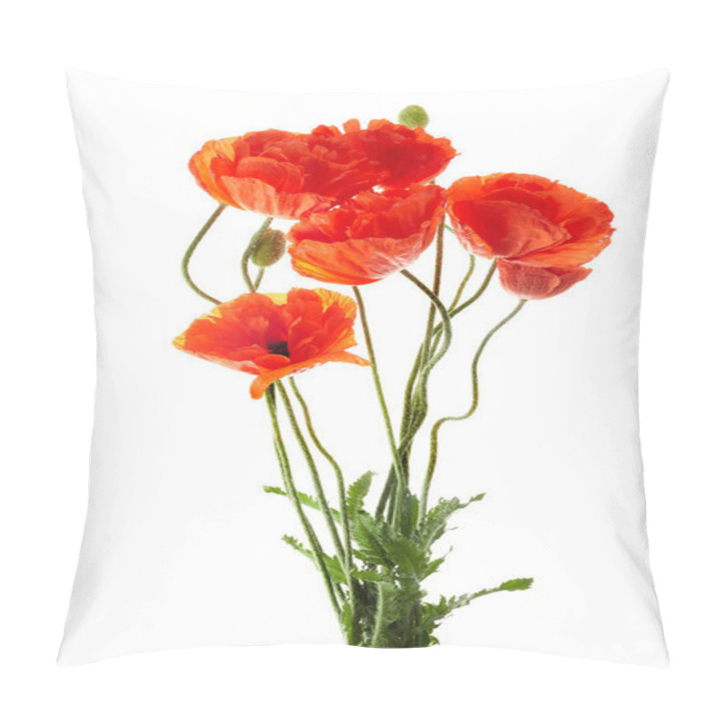 Personality  Bright Red Poppies Flowers Isolated On White Background. Pillow Covers