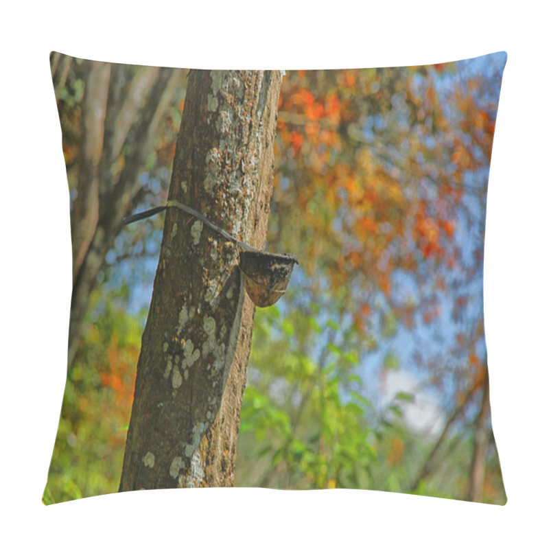 Personality  Rubber Tree Pillow Covers