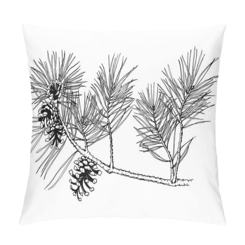 Personality  Hand Drawn Pine Tree Branch With Cones Isolated On White Background. Vector Illustration. Black Pen In Vintage Engraved Style Pillow Covers