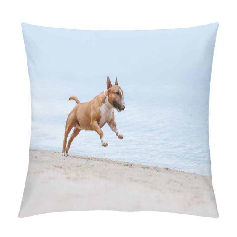 Personality  Beautiful Redhead With White Terrier Dog Breed Mini Runs Gallop On The Beach On White Sand On A Background Of Blue Water Pillow Covers