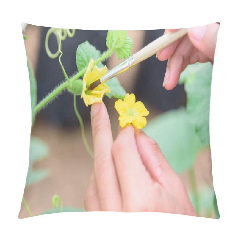 Personality  Use Paintbrush For Pollinate Of Melon Flower In Green House Pillow Covers