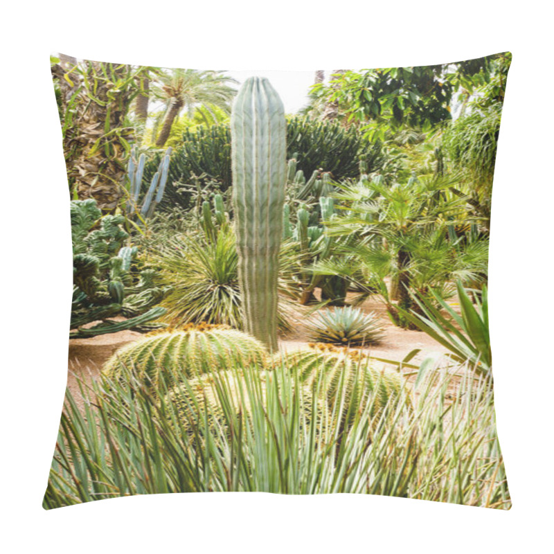 Personality  Variety Of Cacti And Palm Trees  Pillow Covers