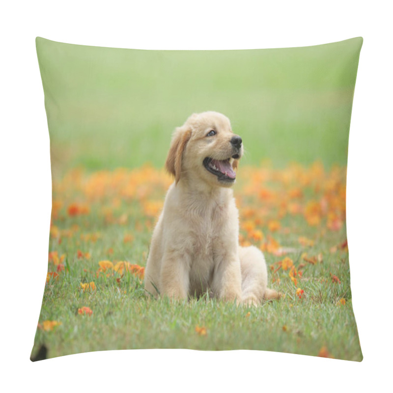 Personality  Cute Puppy Golden Retriever Sitting In The Park. Pillow Covers