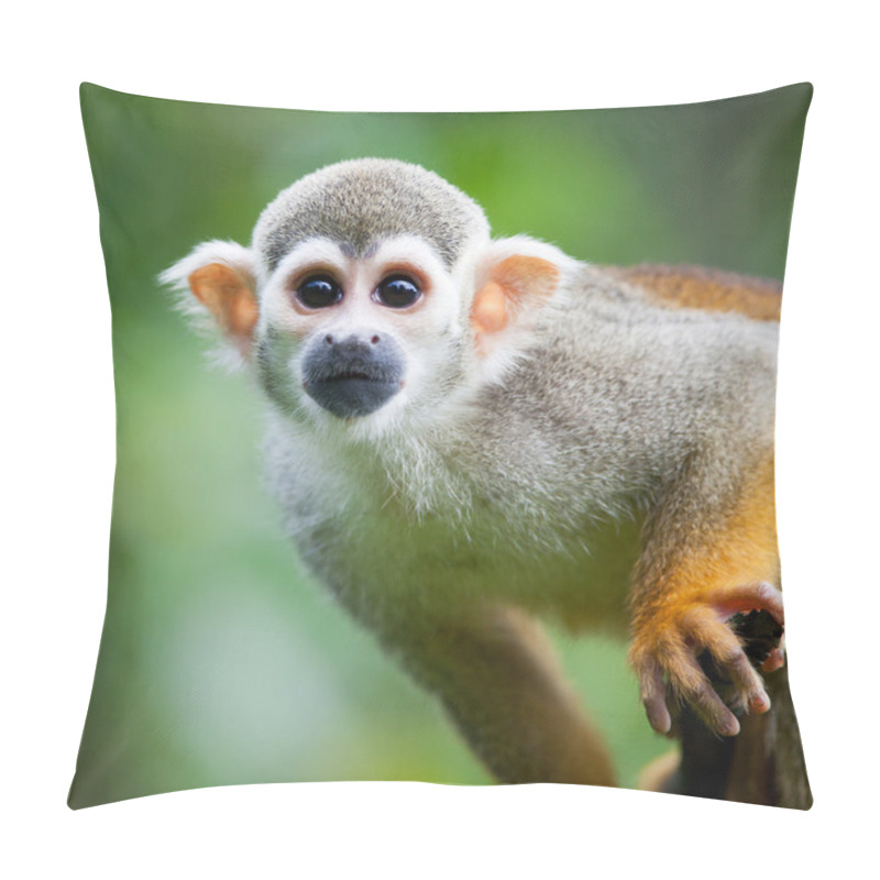 Personality  Close-up Of A Common Squirrel Monkey Pillow Covers