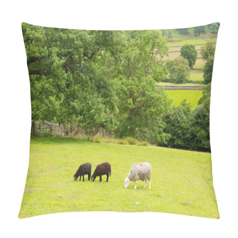 Personality  Black And White Sheep In A Field At Seatoller Borrowdale Valley Lake District Cumbria England UK Pillow Covers