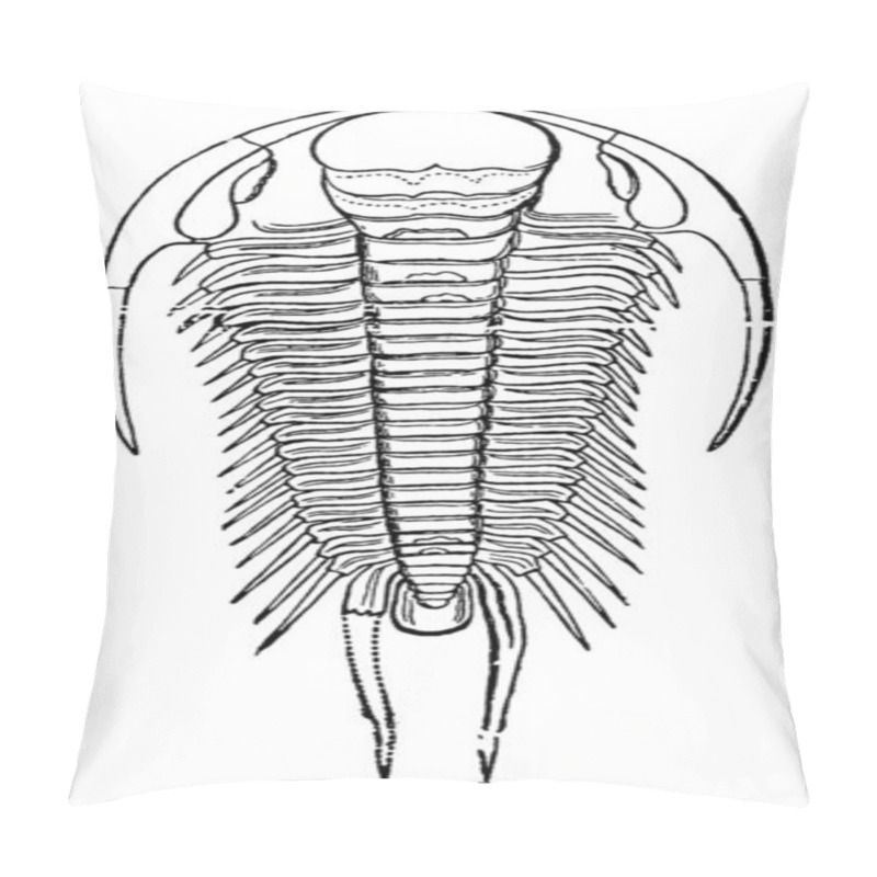 Personality  Trilobite (Paradoxides Bohemicus), Of The Cambrian Period, With A Semi-circular Head, Free Cheeks Ending With A Long, Narrow And Recurved Spine, Vintage Line Drawing Or Engraving Illustration. Pillow Covers