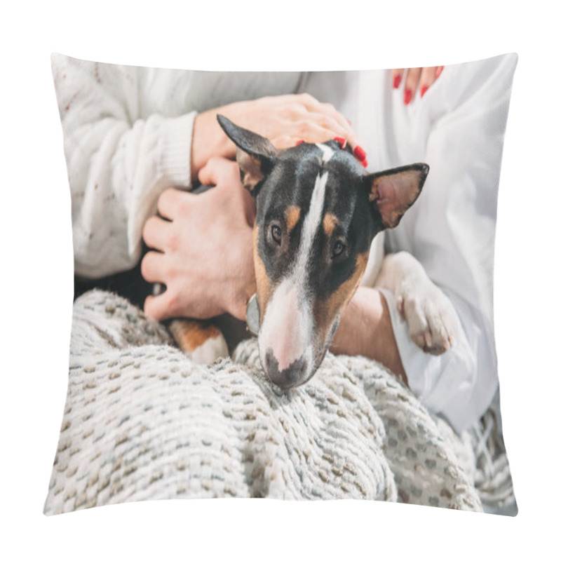 Personality  Partial View Of Couple Stroking Funny Dog Pillow Covers