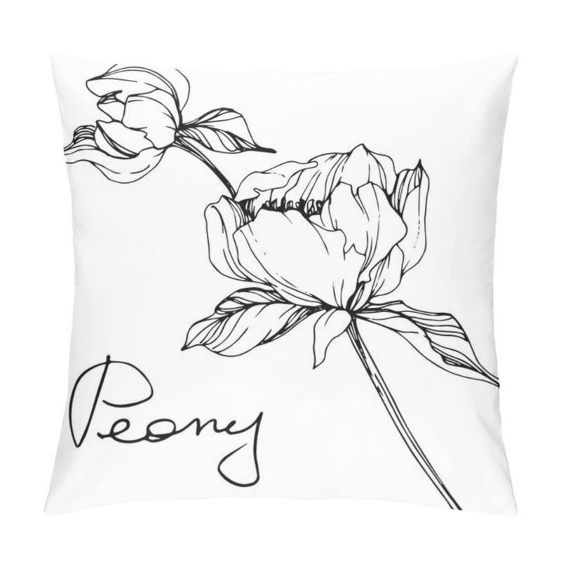 Personality  Vector Isolated Monochrome Peony Flower Sketch And Handwritten Lettering On White Background. Engraved Ink Art.  Pillow Covers