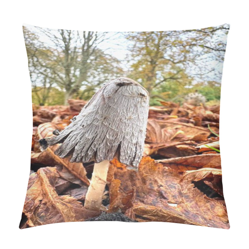 Personality  Shaggy Ink Cap Fungus In Autumn Leaves With Trees In Background. High Quality Photo Pillow Covers