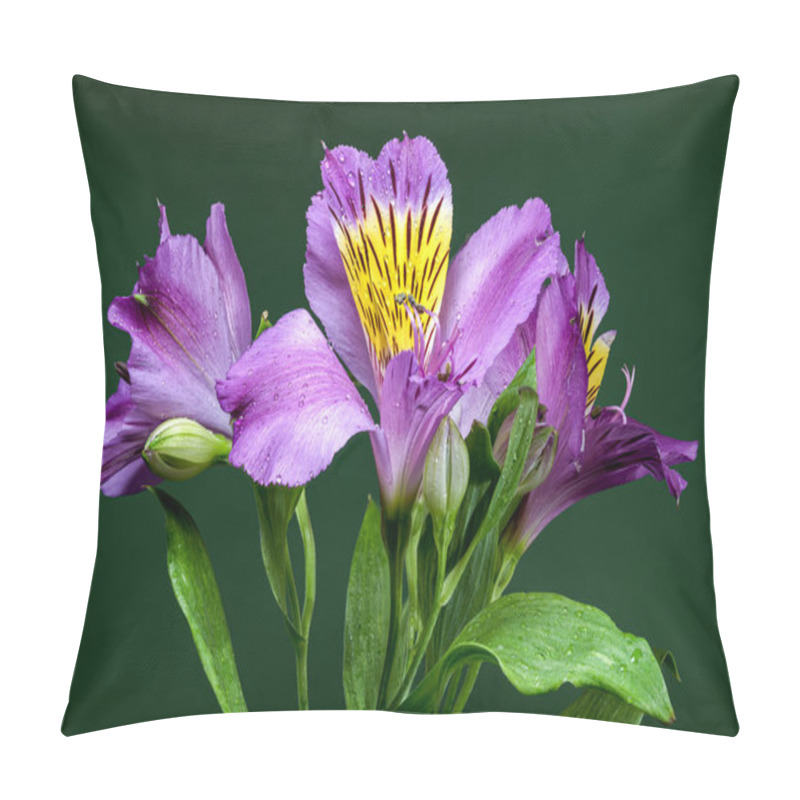 Personality  Vibrant Purple Alstroemeria Navarro Flowers With Yellow And Black Markings, Captured On A Green Background Pillow Covers