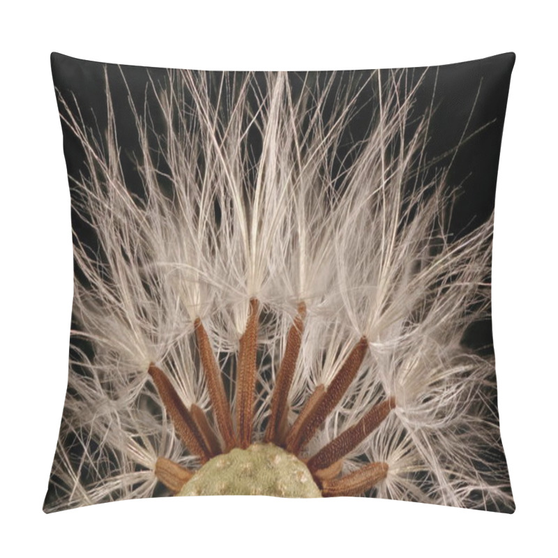 Personality  Smooth Sow-Thistle (Sonchus Oleraceus). Achenes Closeup Pillow Covers