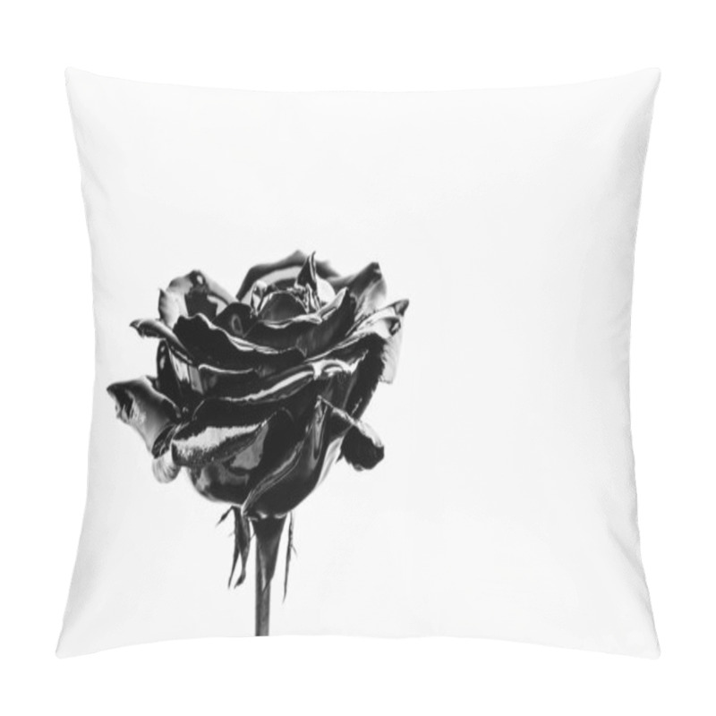 Personality  Silver Rose Flower. Luxury And Success. Metallized Antique Decoration. Wealth And Richness. Floristics Business. Vintage. Natural Beauty. Isolated On White. Copy Space. Botany Concept Pillow Covers