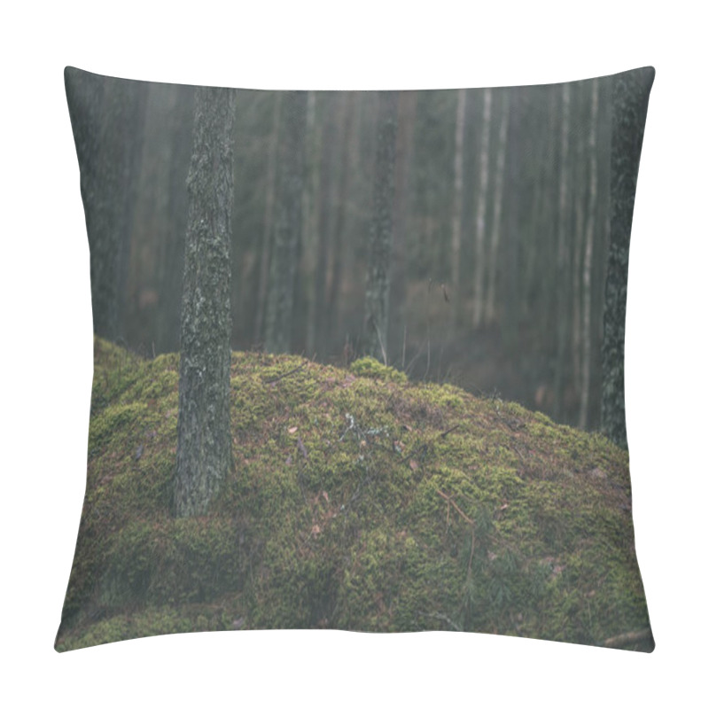 Personality  Autumn Forest With Pine Trees And Moss Pillow Covers