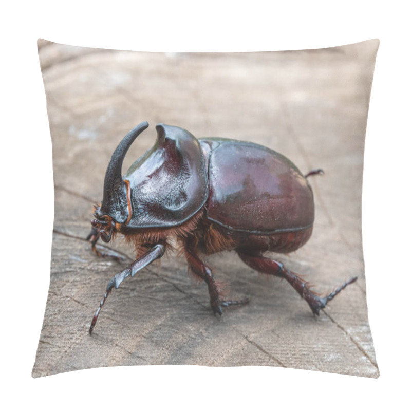 Personality  Beetle Rhinoceros On An Old Stump Close-up. Pillow Covers