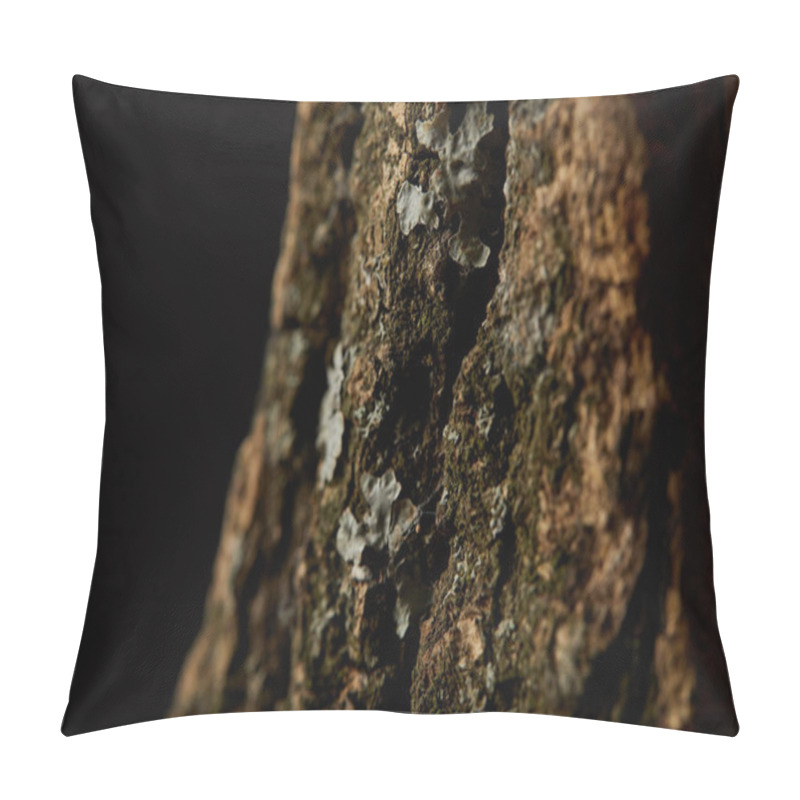 Personality  Close Up Shot Of Tree Bark Isolated On Black Background Pillow Covers