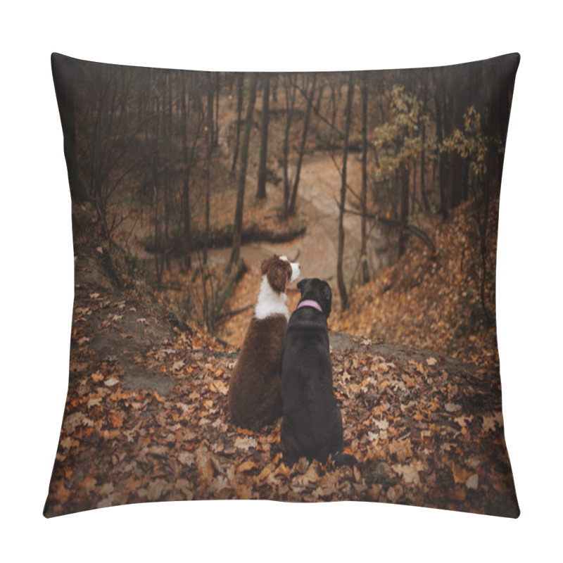 Personality  Two Dogs Posing In An Autumn Forest Together Pillow Covers