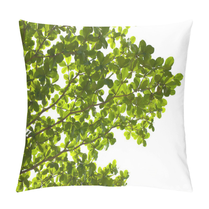 Personality  Green Leaf On Tree Isolated On White Background Pillow Covers