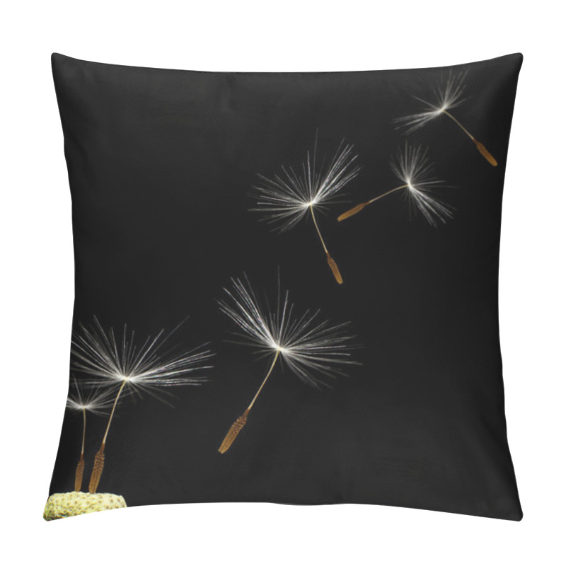 Personality  Dandelion Pillow Covers