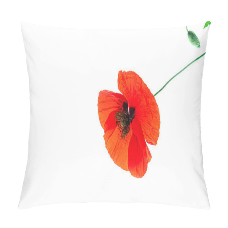 Personality  Poppy Flower Collection On White Background, Isolated.  Pillow Covers