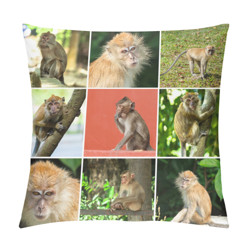 Personality  Cute Monkeys Pillow Covers